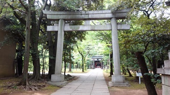 赤坂氷川神社の鳥居の写真